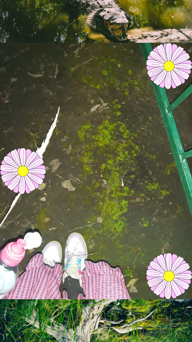 Это моё фото с кладбища. Подсобирала, подвпитывала энергию с локальных природных точек.