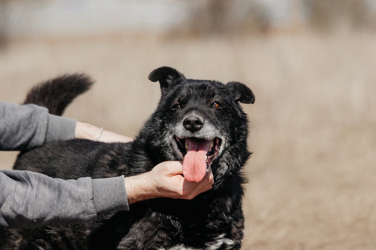 Капитан Флинт любит субботу, солнце и обнимашки