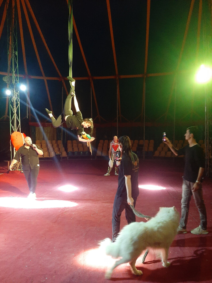 Репетиция в цирке