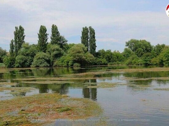     Фото со страницы ВК Главы и правительства РСО-А