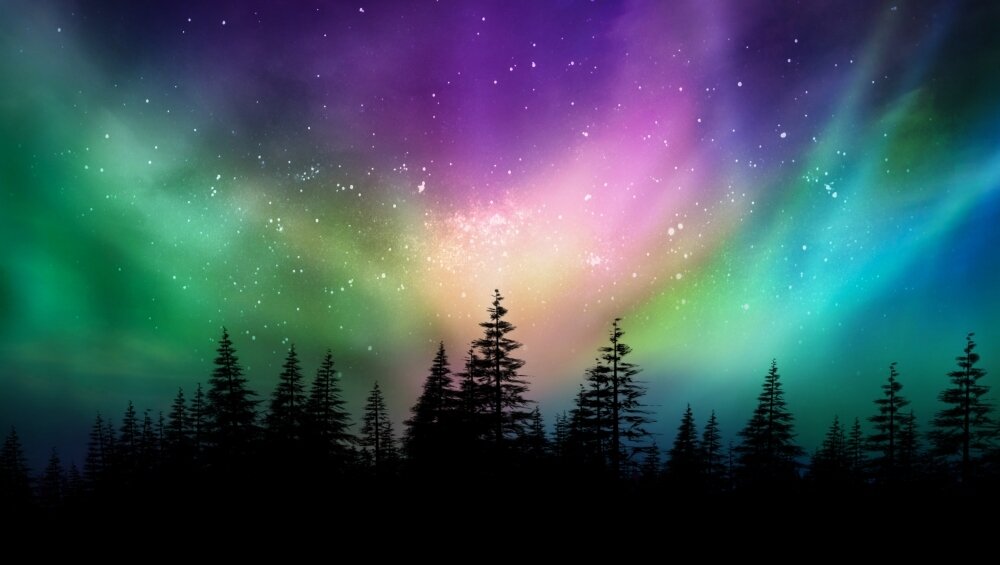   Фото: Shutterstock