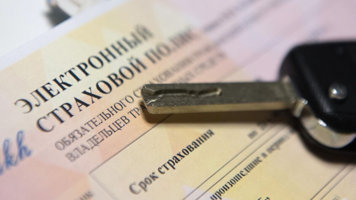    Электронный страховой полис © РИА Новости / Нина Зотина