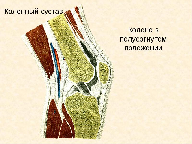 Оглавление