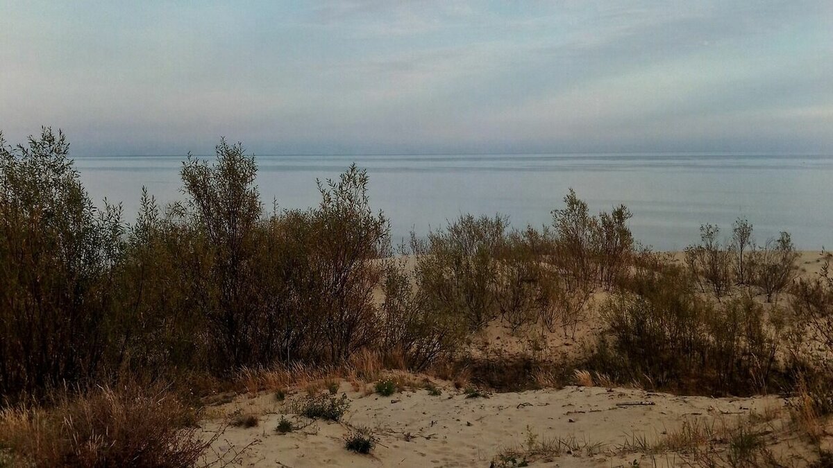     Рядом с казанским поселком Займище появится рекреационная зона с пляжами, которую растянут до Зеленодольска. Об этом во время пресс-конференции сообщил замглавы ГУ МЧС России по Татарстану Юрий Венедиктов.