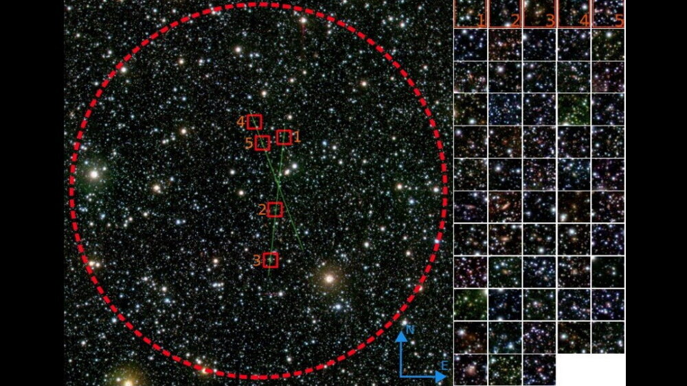   Фото: Daniela Galdeano et al. / arXiv, 2022
