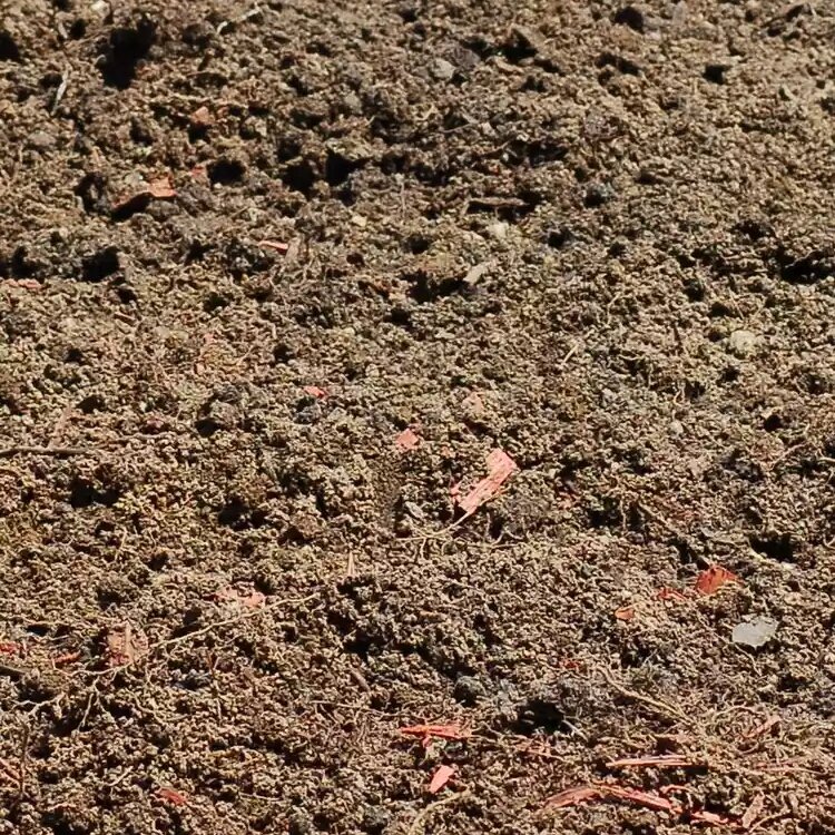 Компост почвы. 