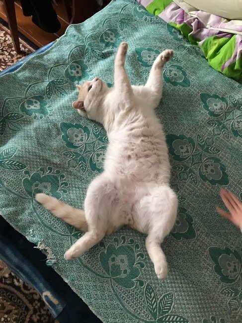 Автор топового канала отдыхает, а канал крутится. Это шутка