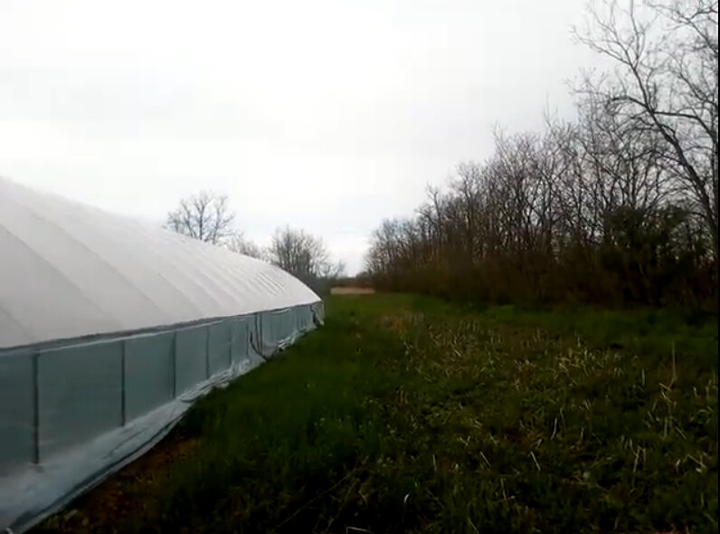 вот тут лучше видно до камышей, они на горизонте желтой полосой