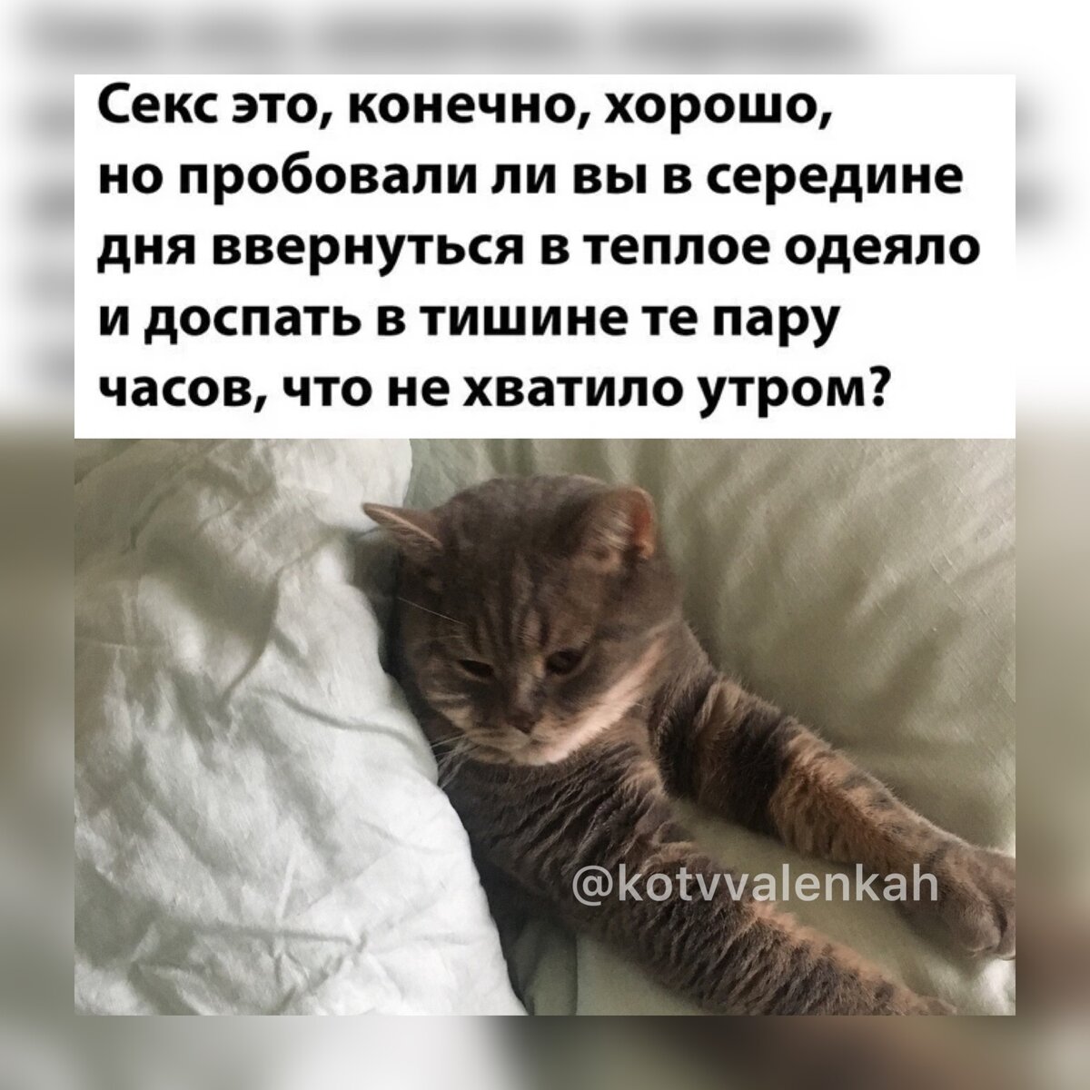 Начало зимы..Мемы тепла 😻 | Кот в валенках Марсель | Дзен