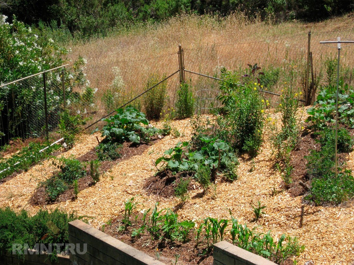   Фото mykaleidoscope.ru