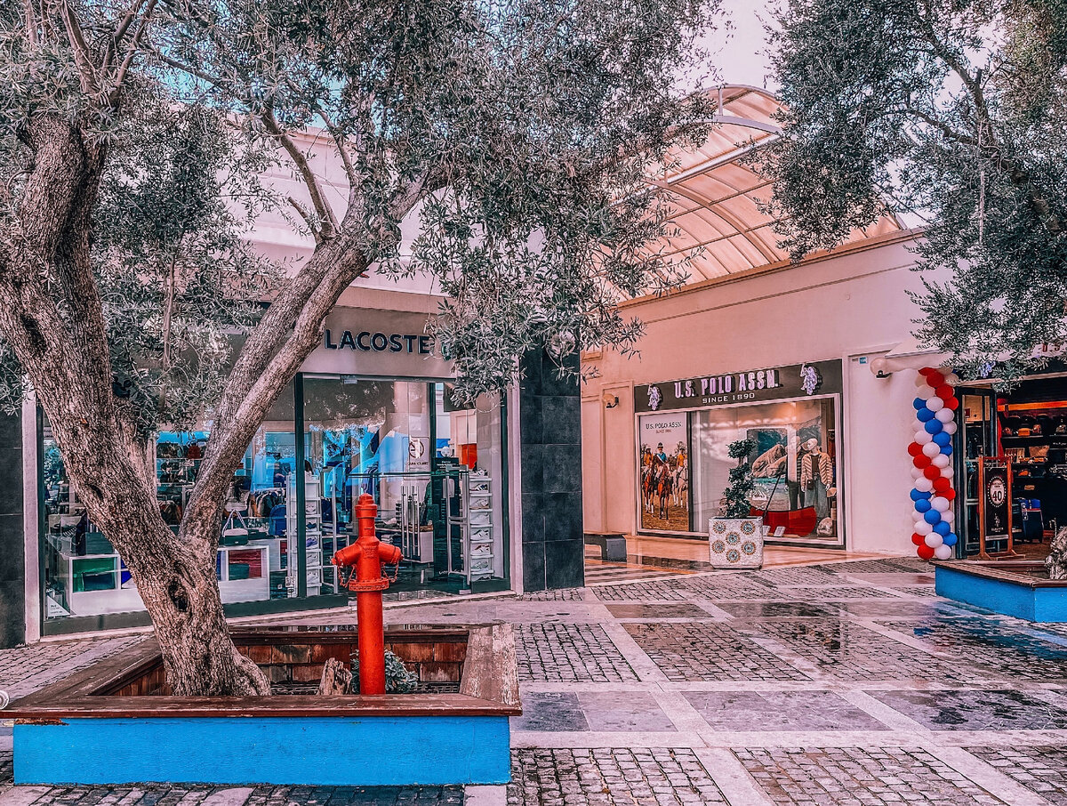 Фото автора. Lacoste & U.S. Polo