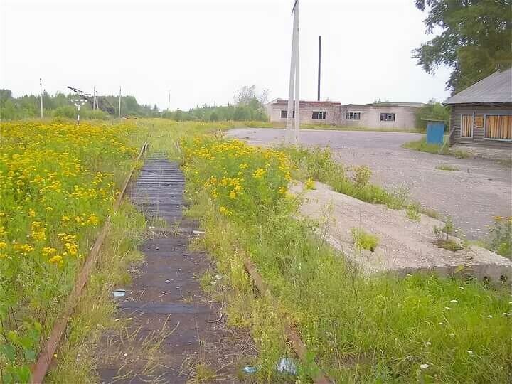 Поселок костромской. Малое Раменье Вохомский район. МАЛОРАМЕНЬЕ Костромская обл Вохомский район. Малое Раменье Костромская обл. ЖД станция Малое Раменье.