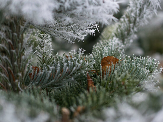     Фото: RU.FREEPIK.COM