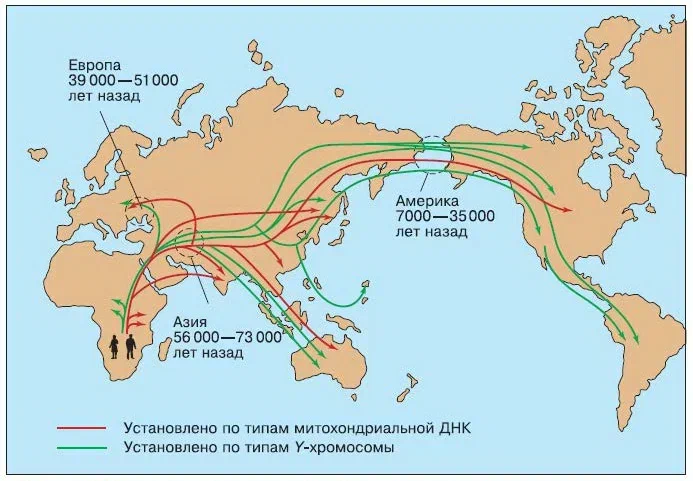 План как люди заселяли землю