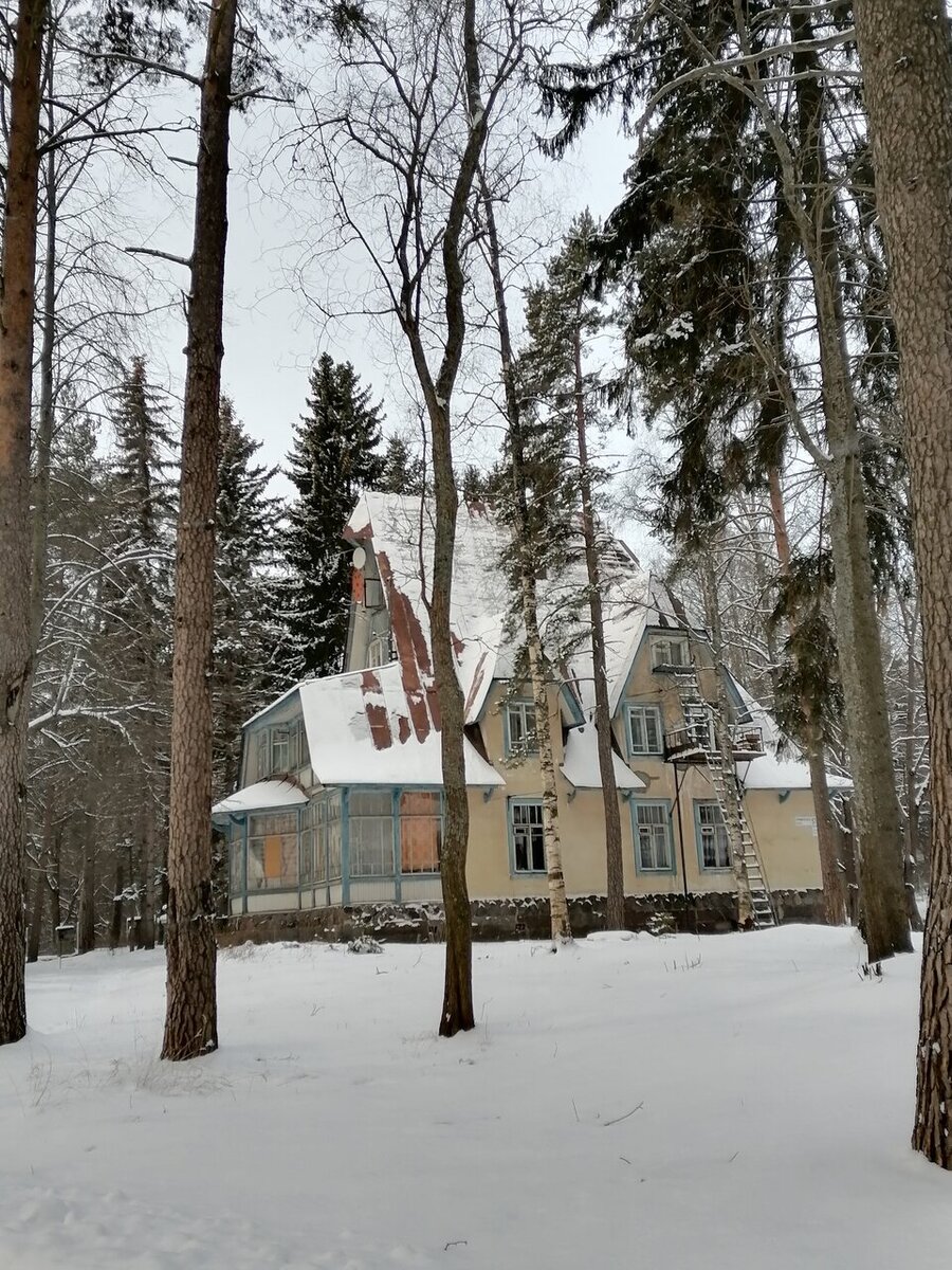 Коттедж санатория "Северная Ривьера". Фото: yandex.ru/maps Любовь Мус