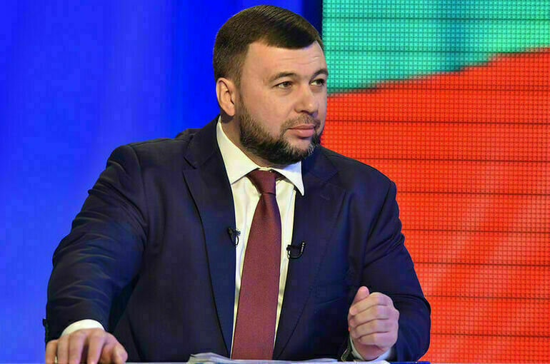   denis-pushilin.ru