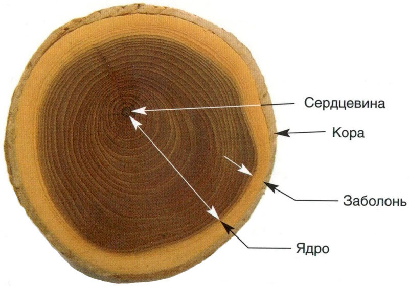 Еще интересные статьи