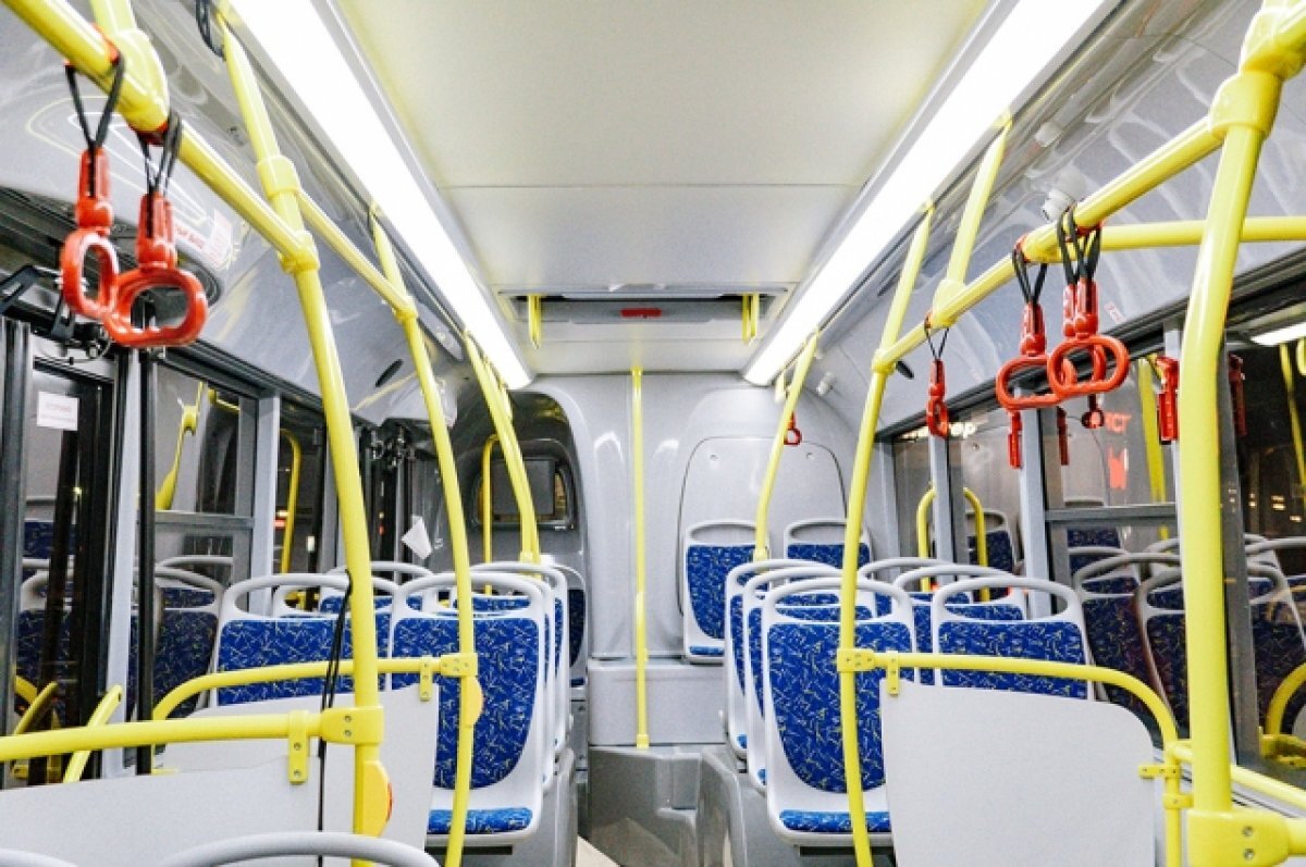    Семьи мобилизованных воронежцев продолжат бесплатно ездить в маршрутках