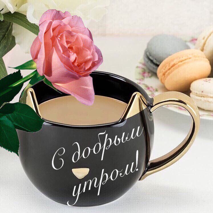 Фото из интернета