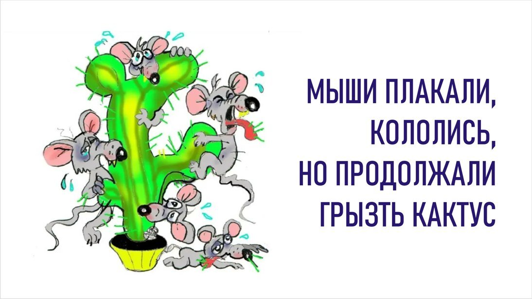 Школоло атакуэ