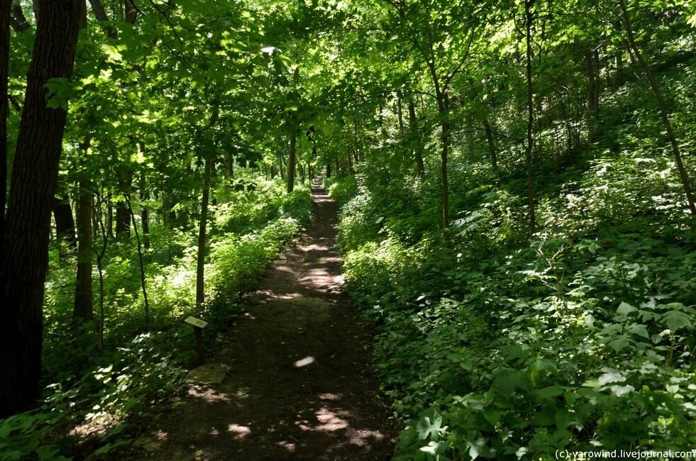 Эффиджи-маундс - курганы индейцев