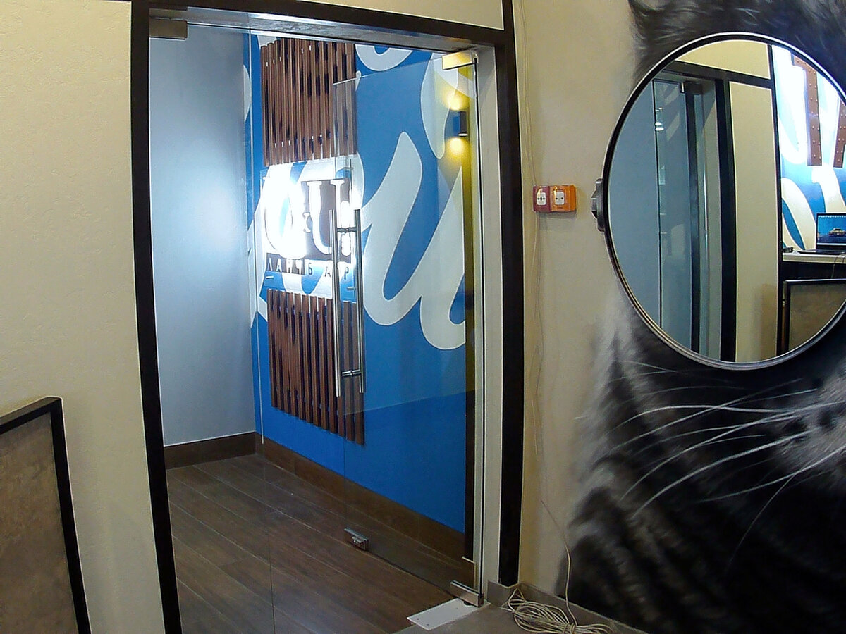 Полуторастворчатая стеклянная маятниковая дверь в кафе под заказ в Нижнем Новгороде от Компании Грифон. 