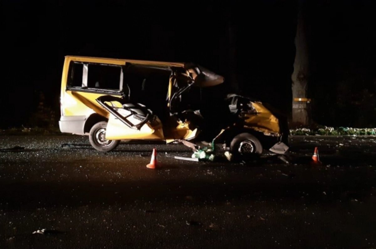    После ДТП с маршруткой и трактором у Багратионовска завели уголовное дело