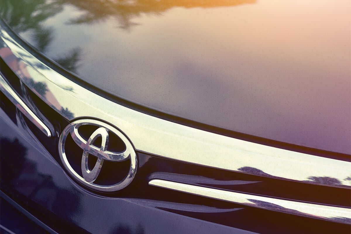    Фото: tristan tan/shutterstock.com