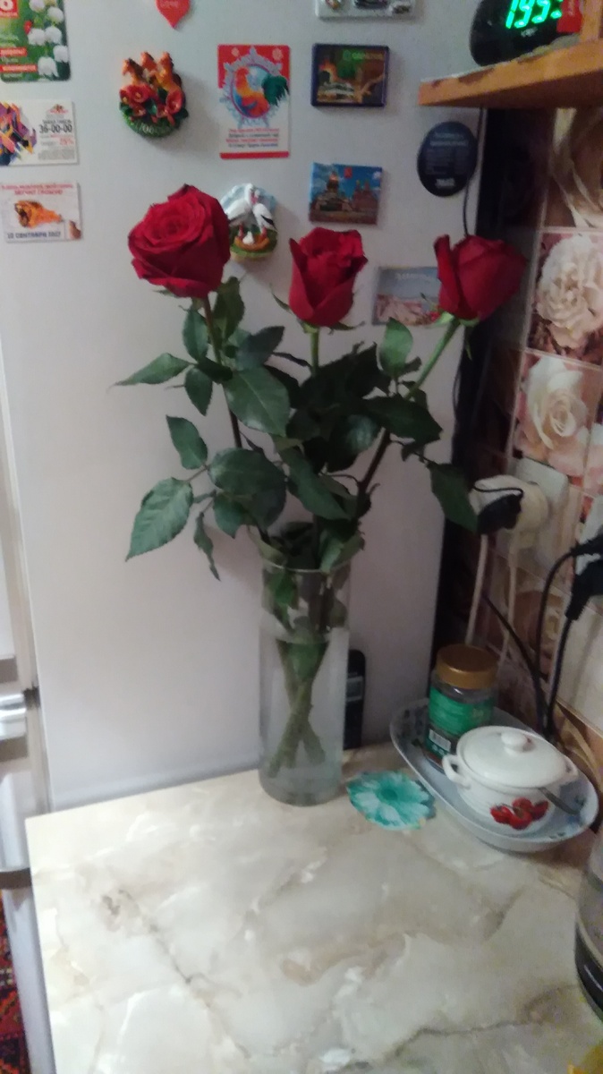 И снова здравствуйте, хотела сегодня поговорить о том как неожиданно стала получать сообщения на вацап. Когда пришло первое сообщение приятных снов, я была немного растеряна и удивлена, утром пришло с добрым утром и хорошего дня. Конечно же я увидела от кого это сообщения, к моему удивлению я была очень растерянна так как мужчина женатый, я тоже замужем. Я никогда не позволяла себе вести или одеваться вызывающа, всегда рассказывала о своей семье и о детях. Но вот мужчина оказывается наблюдал за мной почти три года и решился начать делать мне комплементы и пытаться ухаживать за мной. На мой вопрос зачем это ему надо, так как он женатый и у него все хорошо в семье. Была очень удивлена услышав ответ ( что у меня бывают грустные глаза и моё поведения, что я очень недоступно себя веду), лишний раз не улыбаюсь всегда очень серьёзная и очень задумчивая. Выслушав его мнение и всё, что он мне сказал и предложил я ему ответила, что у меня всё хорошо в семье, а то что я иногда выгляжу уставшей ( у меня часто болеет моя принцесса), а на работе я виду себя как и обязывает моя должность. И в принципе я не должна всем нравится, я прихожу работать а не устраивать личную жизнь. Так к чему я решила написать эту статью. Да в глубине души приятно, что я в своём возрасте ещё могу нравится и на меня обращают внимание.   