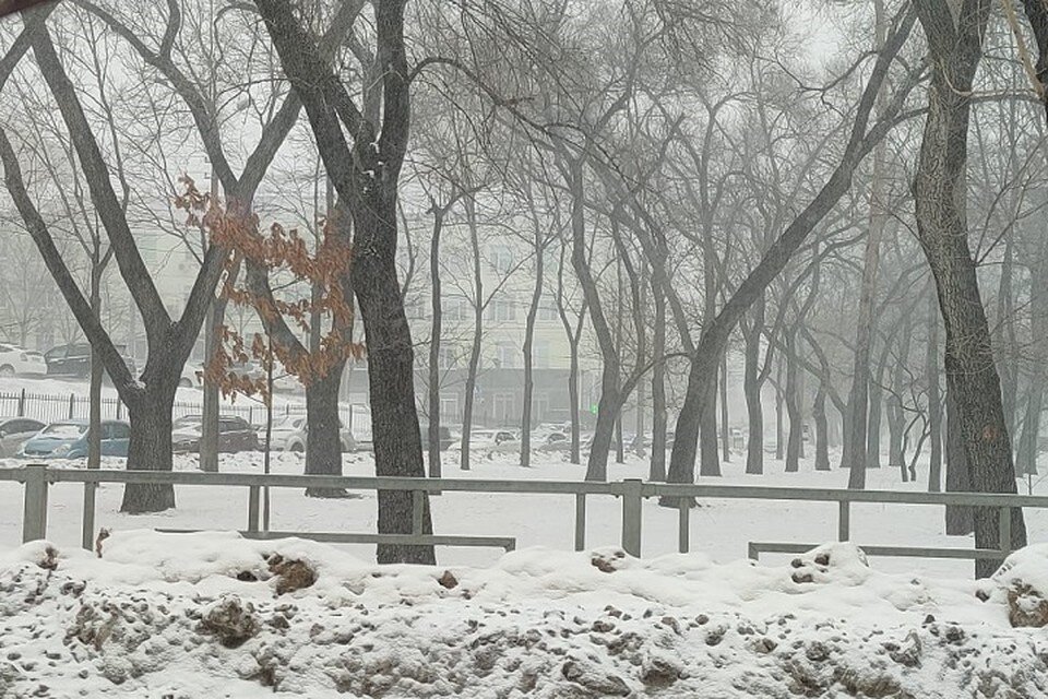     Сильный ветер сбивает с ног, дороги парализованы Оксана ШЕМЕТОВА