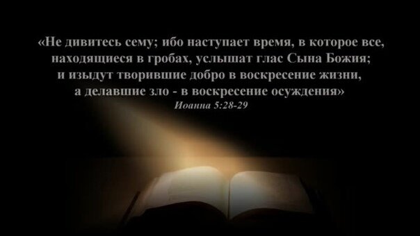«Я заключу завет и мир со зверями полевыми и птицами небесными и пресмыкающимися по земле» (Из Книги Исаии). Источник: https://yandex.ru/images/search?pos=5&img_url=http%3A%2F%2Fsun9-45.userapi.com%2Fimpg%2FfNaRt1lMViFJoFezFBsu-A4JY75pK_Qj2sP-jQ%2Fk0-f_wlep0Q.jpg%3Fsize%3D604x340%26quality%3D96%26sign%3D0a7ab1de849a34921e6122a15666d00b%26type%3Dalbum&text=Не%20дивитесь%20сему%3B%20ибо%20наступает%20время%2C%20в%20которое%20все%2C%20находящиеся%20в%20гробах%2C%20услышат%20глас%20Сына%20Божия&lr=38&rpt=simage&source=serp