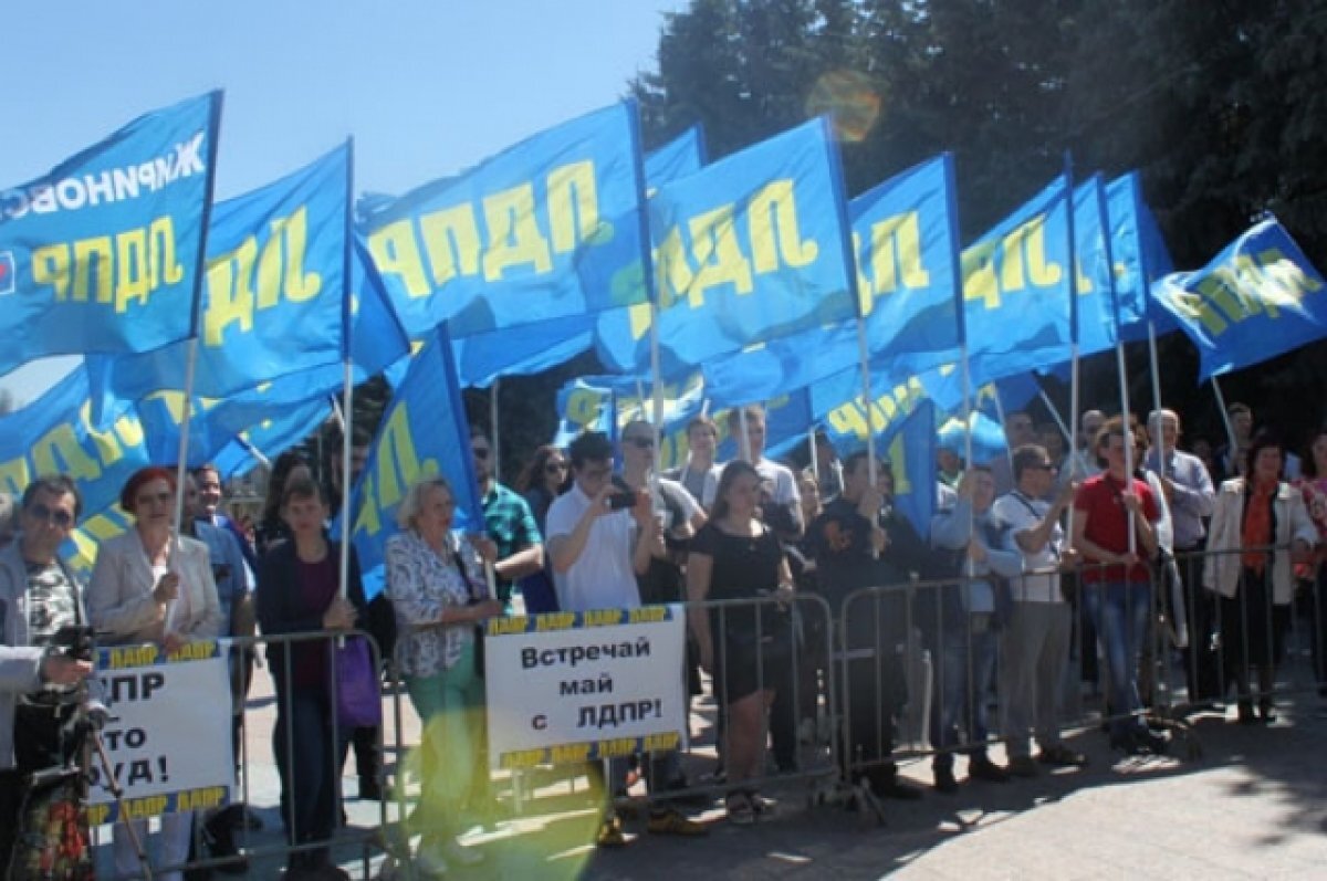    Консолидированы, но слабы. Социологи оценили работу членов ЛПДР в Пензе