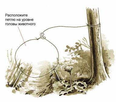 с форума выживальщиков