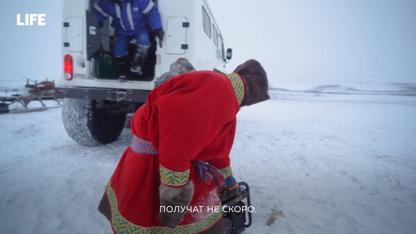 Видео © LIFE