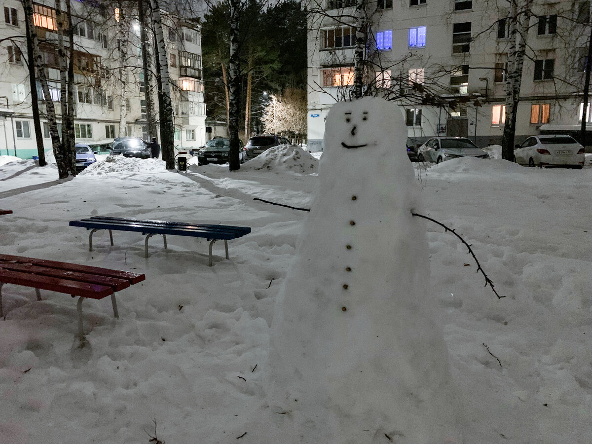 Такой у нас во дворе "снежный друг" появился