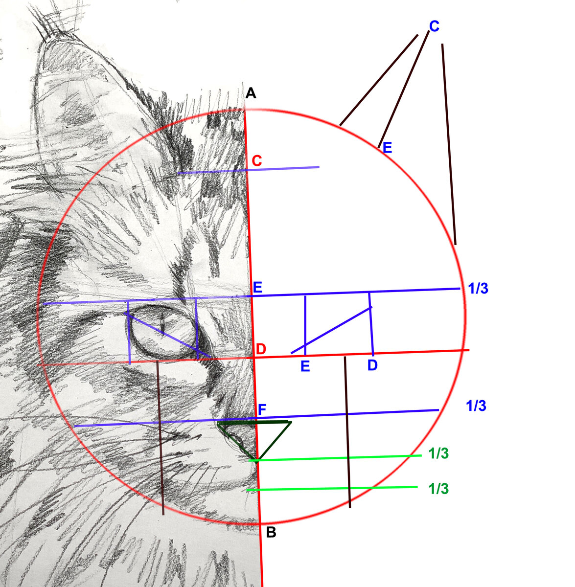 Как нарисовать мордочку кошки пошагово, даже если никогда не рисовал?  Узнаете в этой статье! | АРТИЛАЙК-Онлайн школа рисования | Дзен