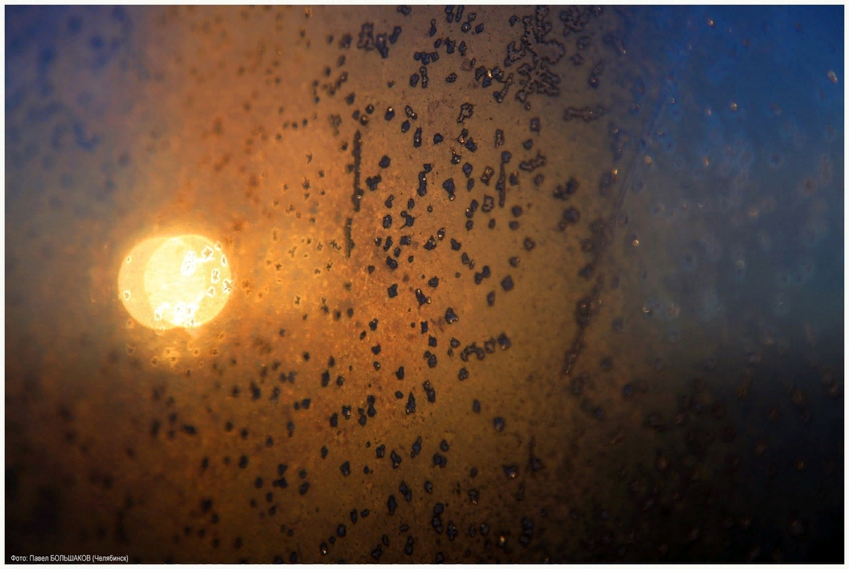 Фотография Павла Большакова