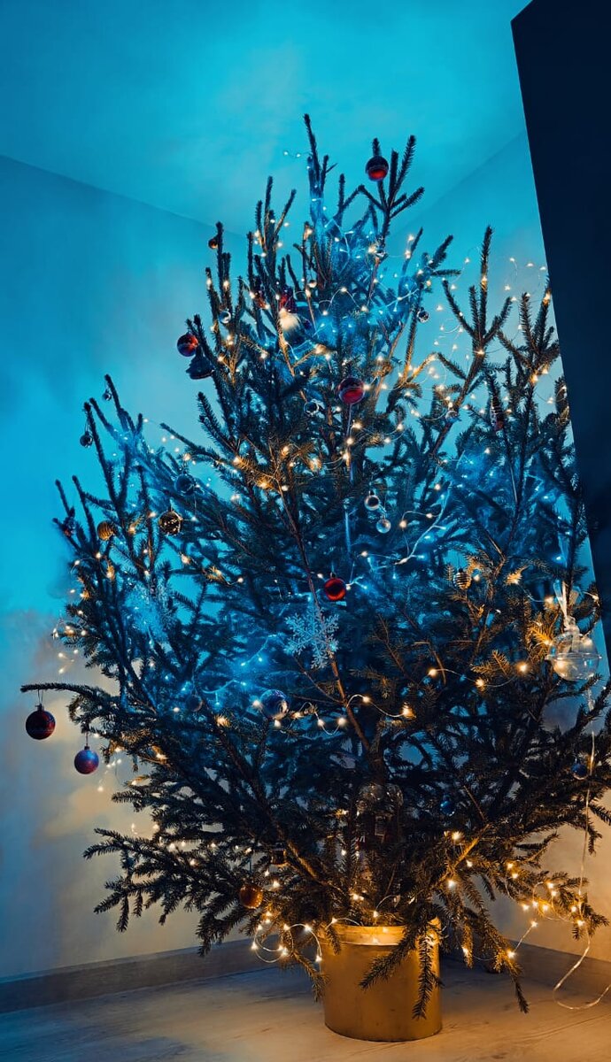 подставка для живой елки своими руками