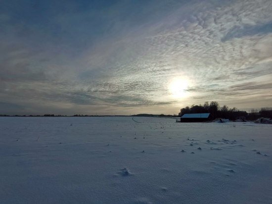     Фото: Мк в туле