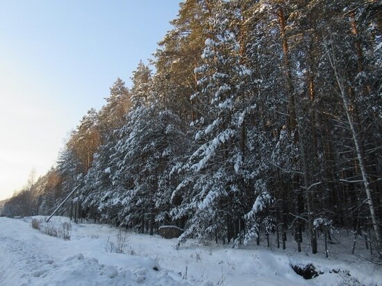     фото: Николай Курилов / МК-Урал