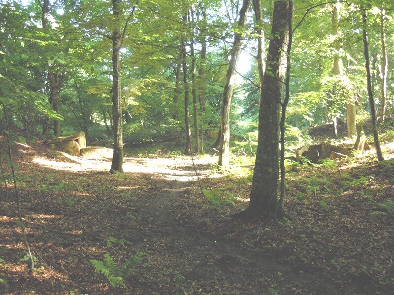 Тут меня спрашивают (ирония) почему не указаны другие конкретные разрушители?-33