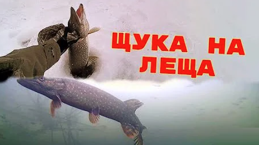 FishingSib - болеем рыбалкой. Вести с водоемов, видео, форум рыбаков.