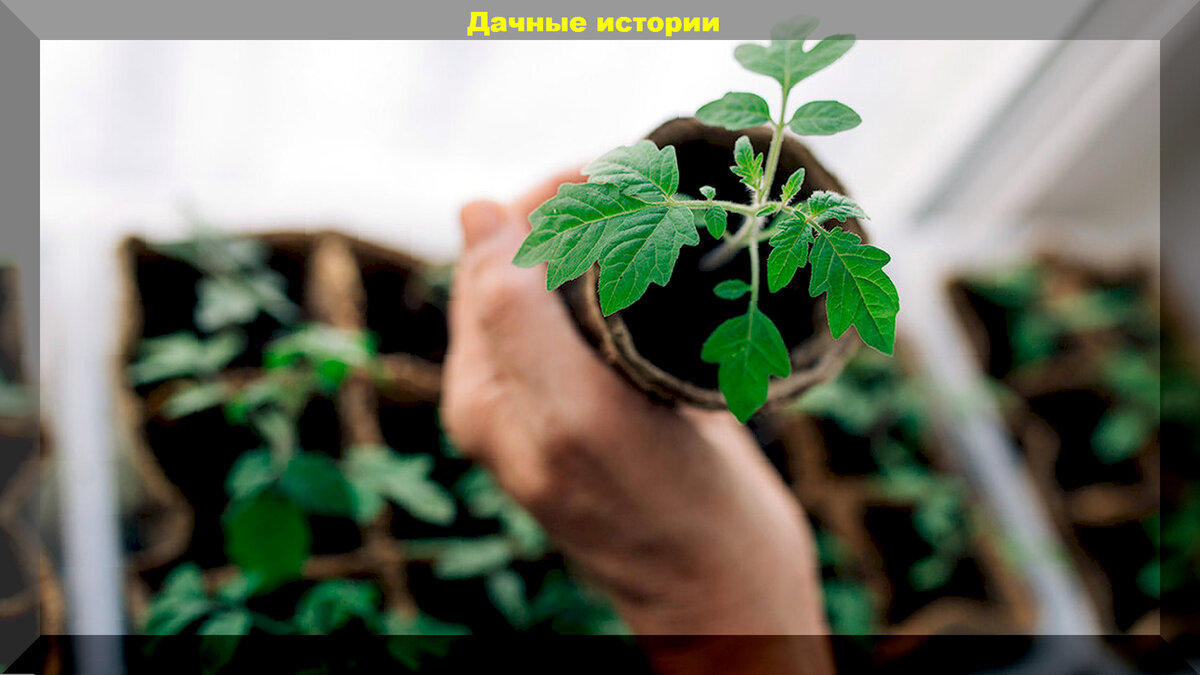 https://vk.com/photo-159774511_457258576
