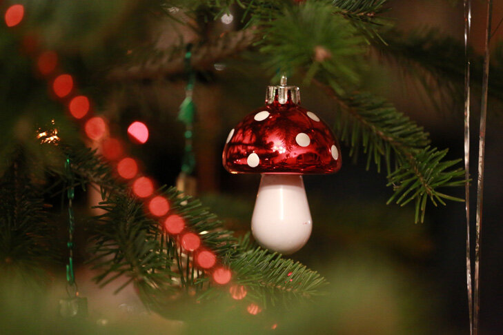    Фото: из архива VN.ru