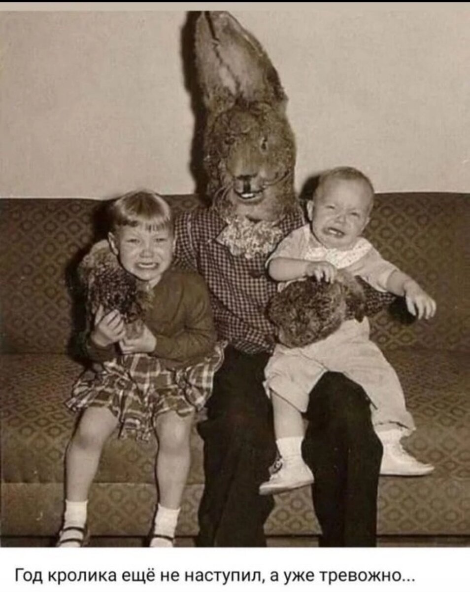 Год кролика ещё не наступил, а на душе уже как-то тревожно ☝️😬