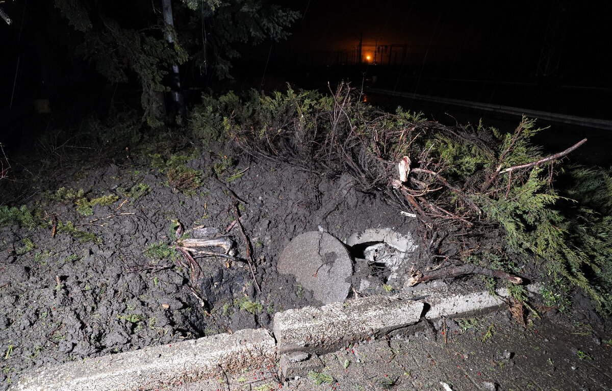 Николай Тришин/ТАСС, архив