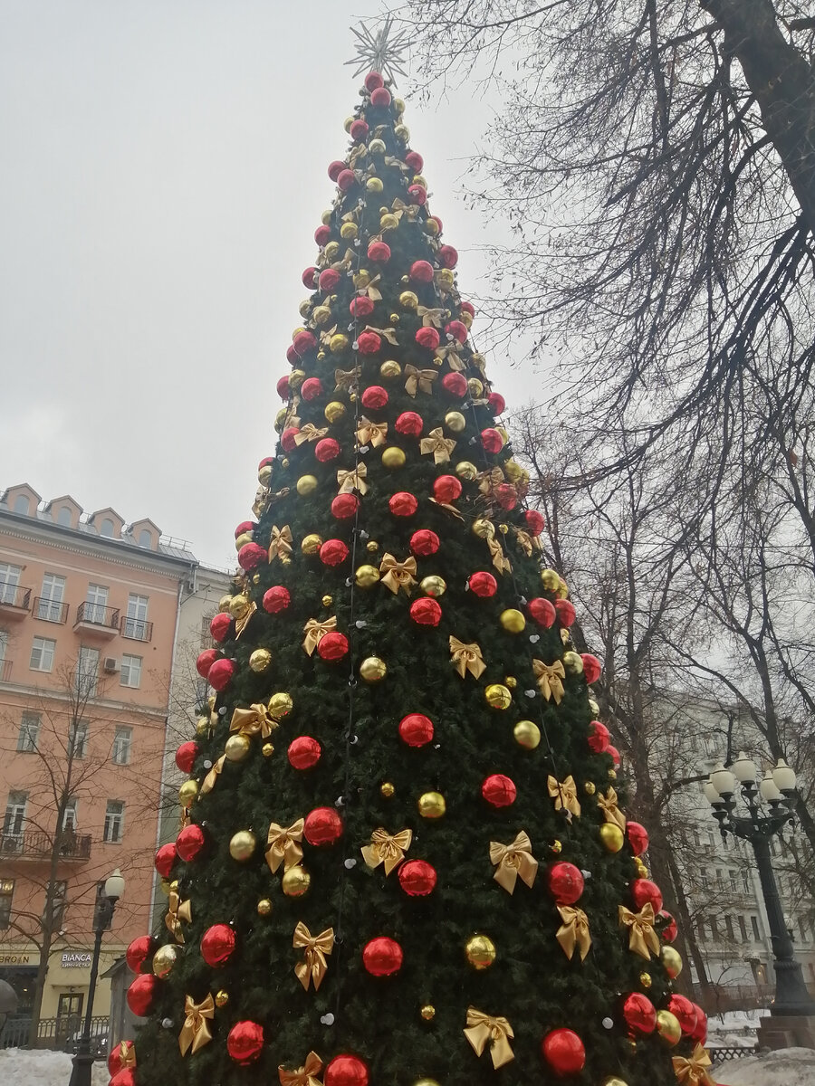 Ёлка на Патриарших прудах в Москве.