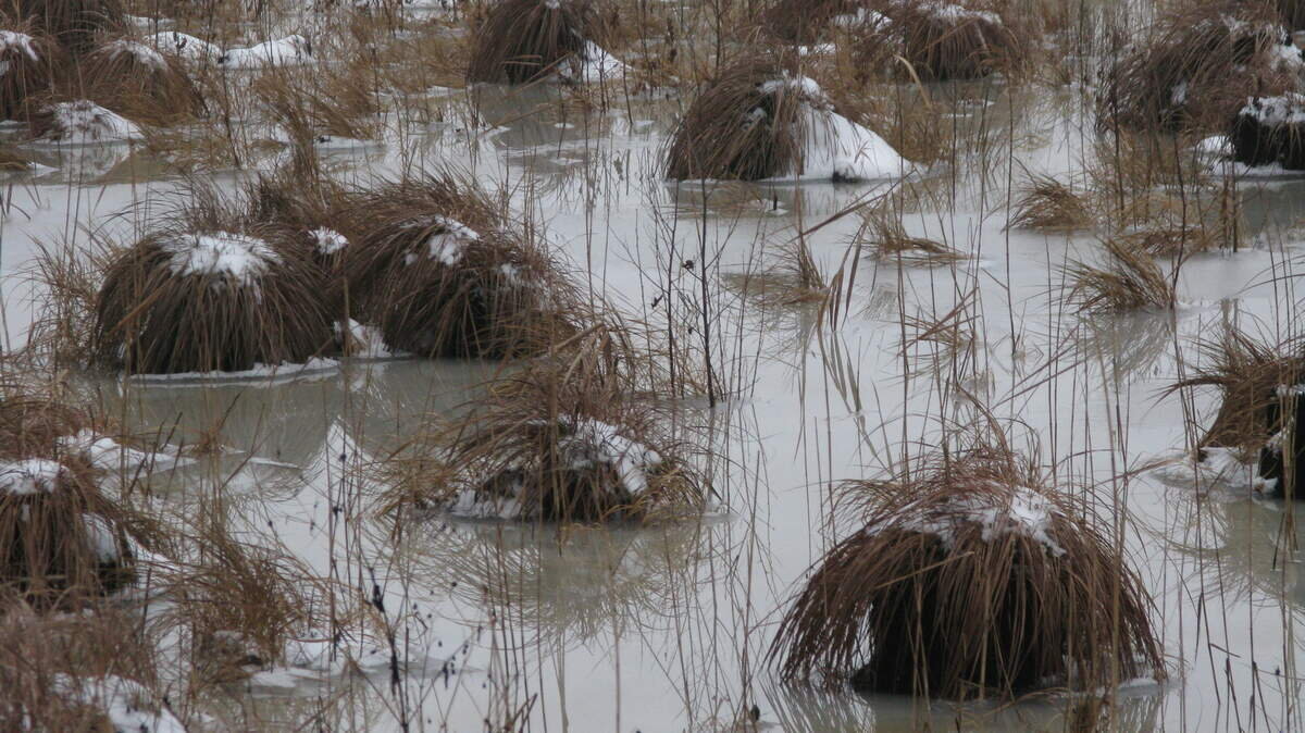 Это что, логово кикимор? Интрига! (фото пользователя Universal)