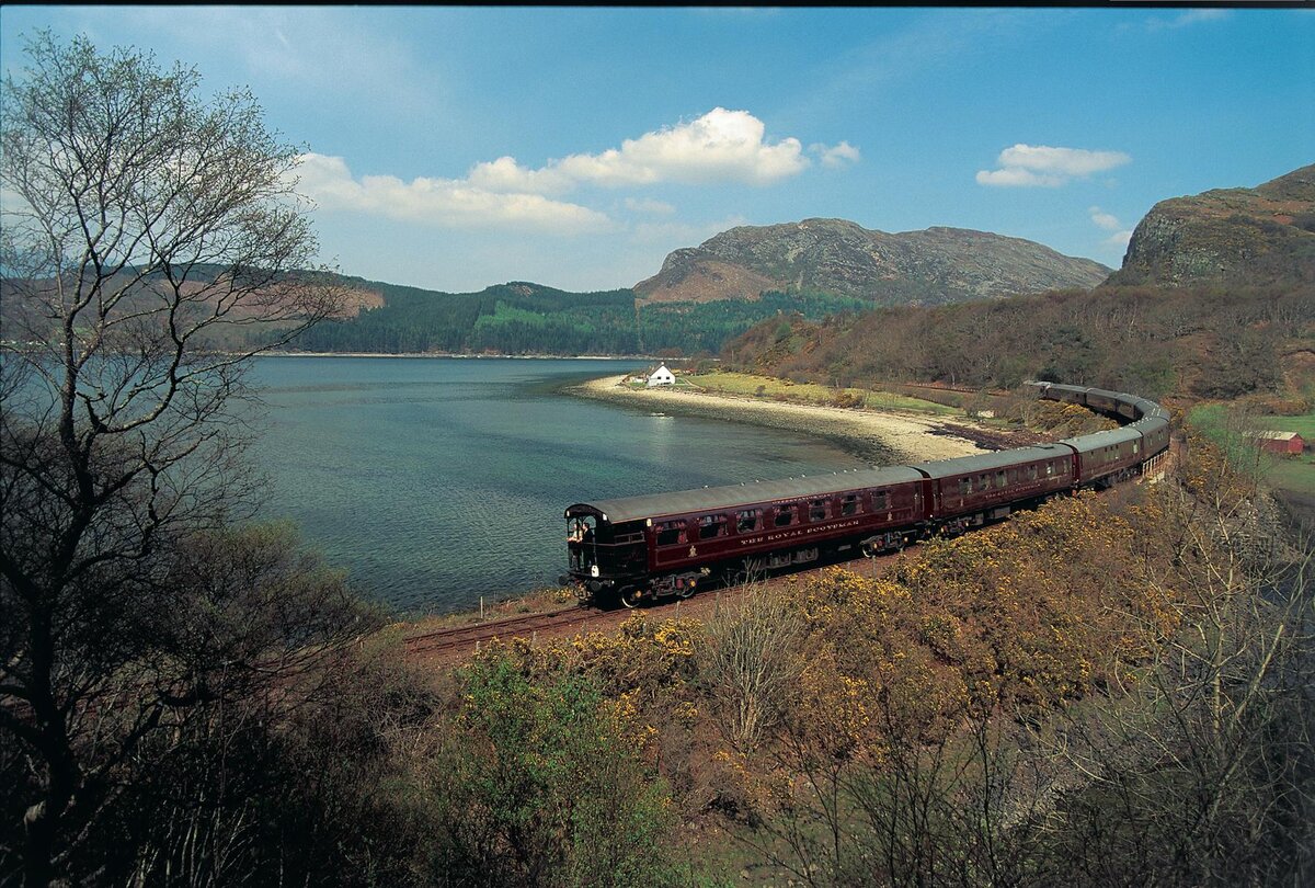 Источник www.storyblocks.com