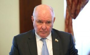    Фото: council.gov.ru Ирина Амелина